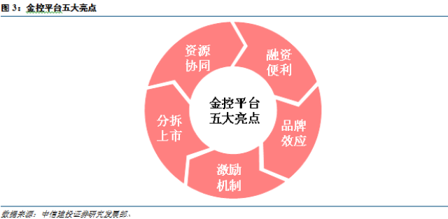 树公司详细介绍：业务范围、发展历程与市场地位解析