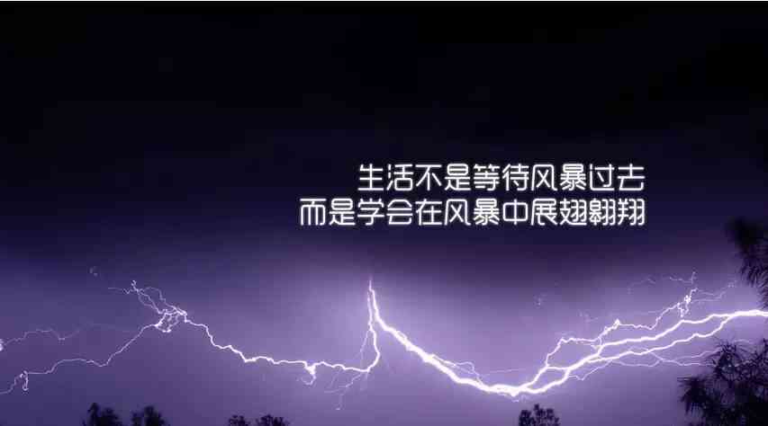 反向语录：探究句子、文案、励志与言语的逆向魅力