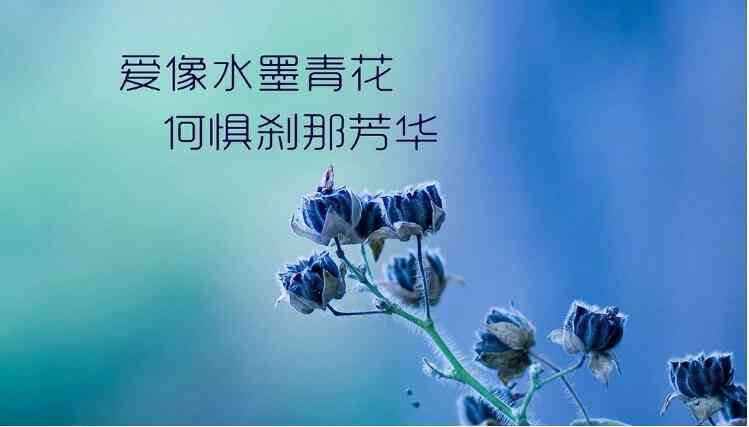 逆向情感纠：探索反向爱情之谜