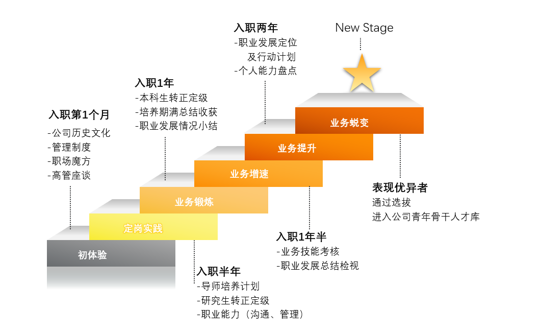 体制内写作人才职业发展指南：全方位解析晋升路径与技能提升策略