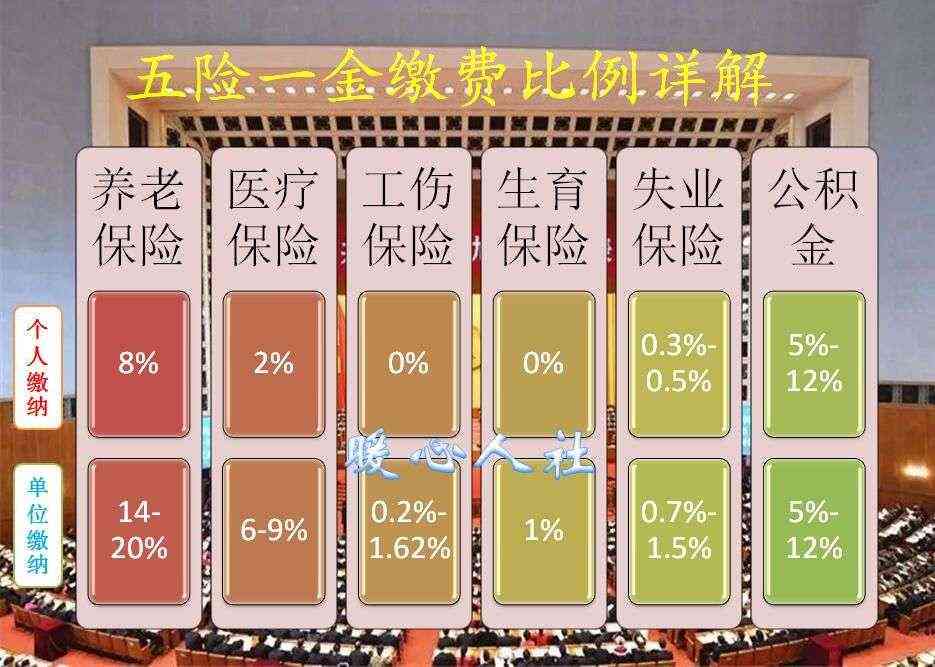 个体工商户认定工伤和公司的区别：工伤认定及赔付标准对比分析