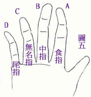 手指损伤评定：失去中指所致伤残等级划分