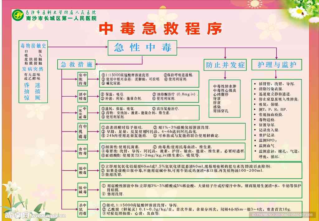 详尽指南：中事故应急响应与处理全流程解析