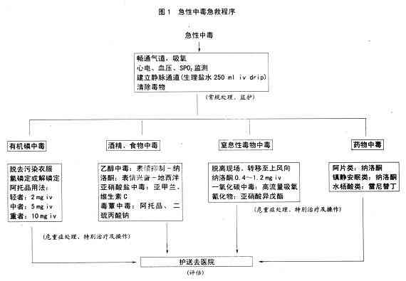 中事故的定义：概述、包含范围及处理步骤