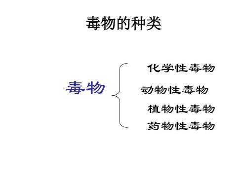 中事故的定义：概述、范畴及处理步骤