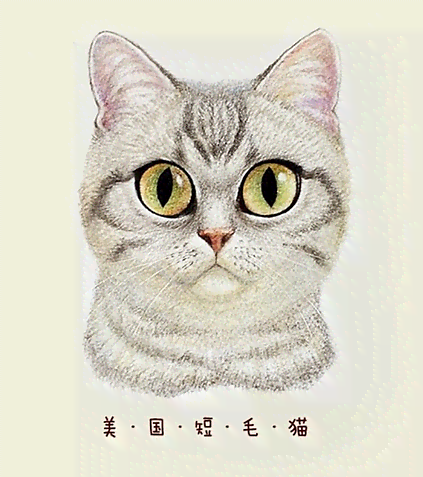 掌握AI绘画技巧：打造独特猫咪艺术作品文案撰写指南