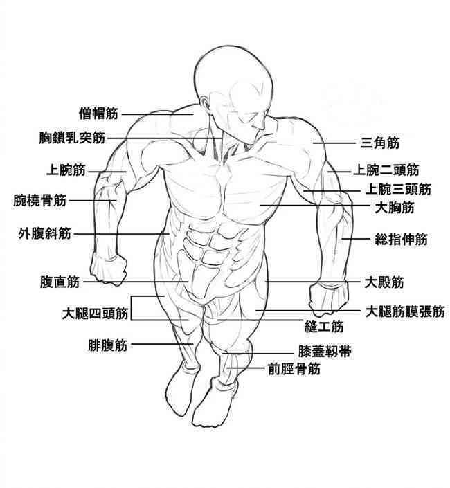 真人绘画参考：男性真人绘画素材集