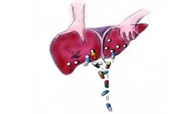 肝脏中损伤：原因、症状、预防和治疗方法一览