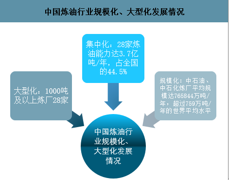 '基于AI技术的写作项目成果汇报与效能分析报告'