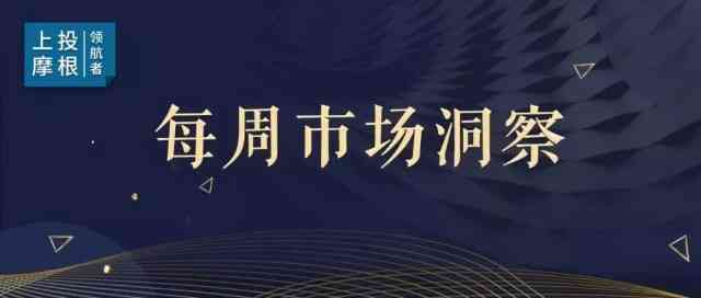 松鼠AI市场洞察：教育行业转型与下沉市场的机遇挑战分析