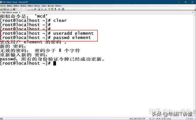 分镜脚本Word教程：从基础制作到高级技巧全面解析与实用案例分享