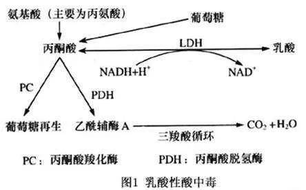 乳酸酸中能自行恢复吗：其症状、治疗方法及是否可治愈分析