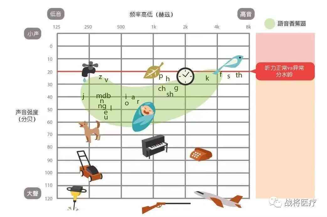 听力检测指标解读：全面解析听力测试数值与意义