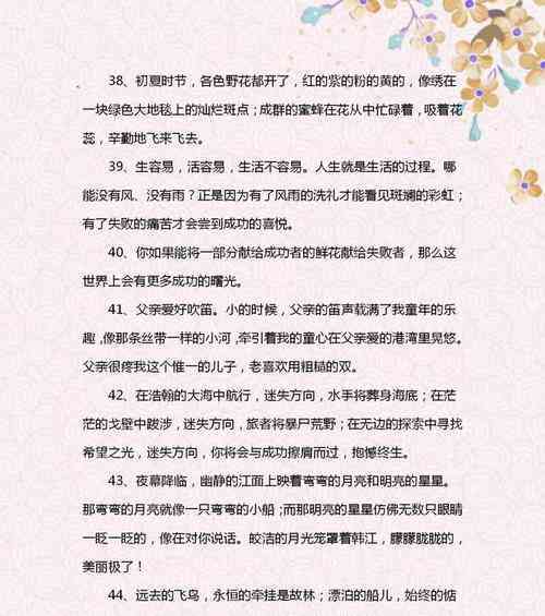 写作文的美言美句：摘抄大全与美文美句汇编