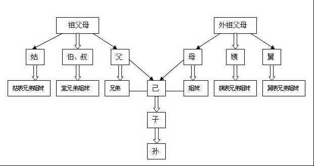 全面解读亲属关系的认定标准与法律依据：涵各类亲属关系认定问题