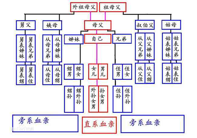 全面解读亲属关系的认定标准与法律依据：涵各类亲属关系认定问题