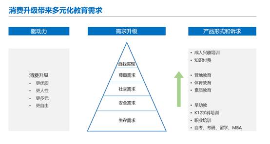 学生综合素质与个性化发展深度分析报告：全面揭示学潜能与成长路径