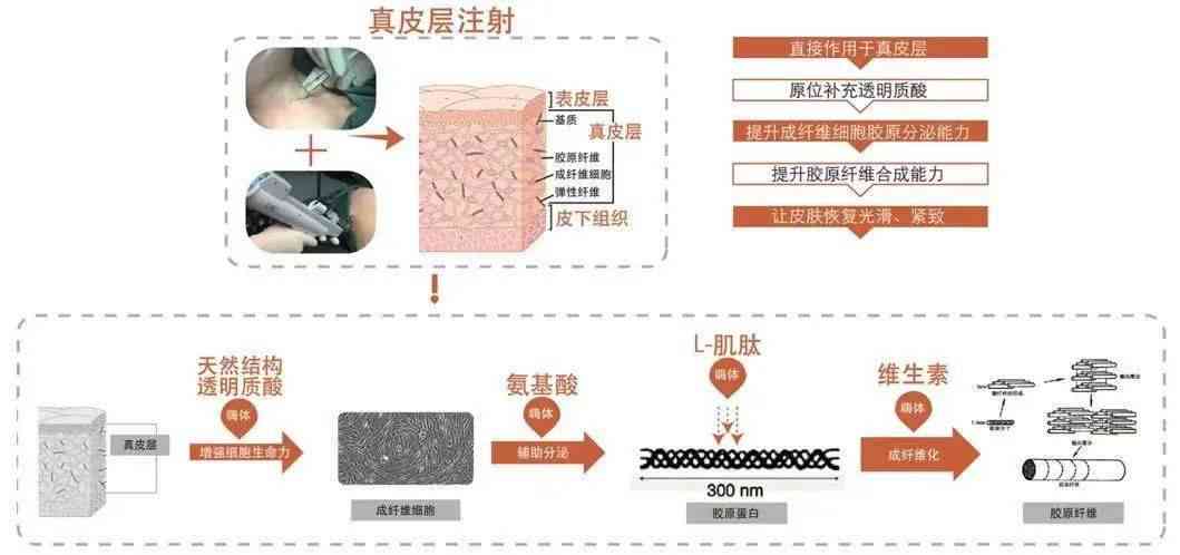 ai生成崩溃报告怎么办：AI2020崩溃报告解析与应对策略