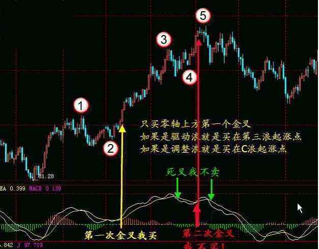 如何判断烫伤严重程度：从轻微到严重烫伤的全面评估指南