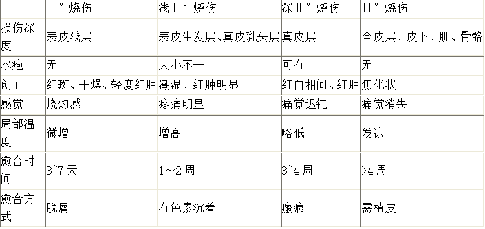 深入了解：如何界定不同程度的烫伤标准与分类