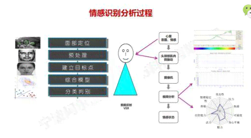 AI情感检测报告撰写指南：从数据分析到结果呈现的全方位教程