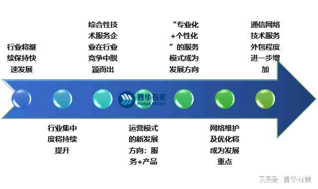 探秘树网络公司：技术创新与业务发展全解析