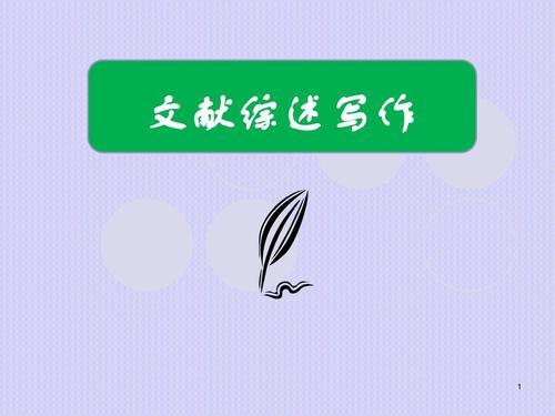 全面指南：2000字综述性报告模板及撰写技巧详解