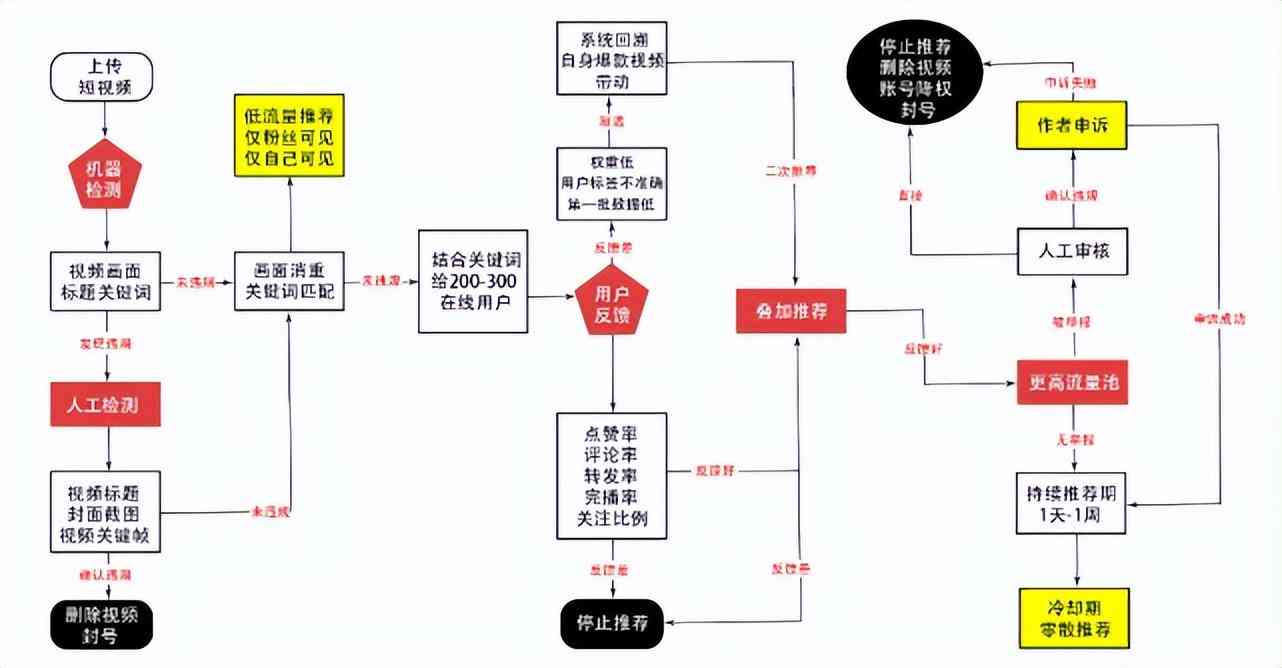 全面解析：AI技术在抖音推广中的算法演变与高效应用策略分析报告