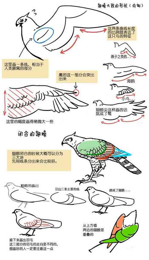 ai鸟类识别文案怎么做