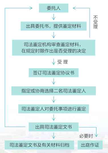 工伤认定委托书撰写指南：全面解析代办人授权流程与注意事项