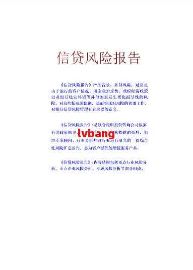 贷款调查报告风险分析怎么写：全面指南与范文示例，涵风险点及写作技巧