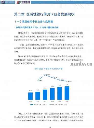 贷款调查报告风险分析怎么写：全面指南与范文示例，涵风险点及写作技巧