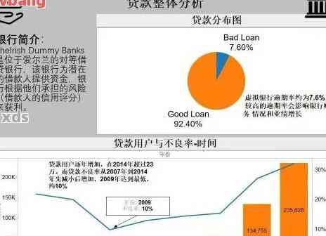 贷款调查报告风险分析怎么写：全面指南与范文示例，涵风险点及写作技巧