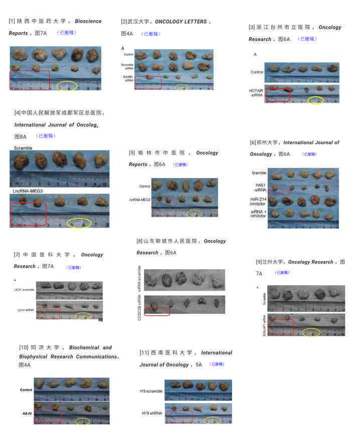 智能业论文撰写助手：高效辅助写作与格式化工具