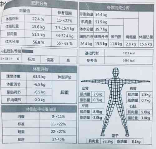 个人健状态综合评估报告：全面体检结果分析与建议