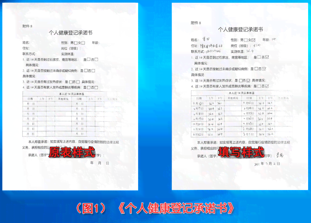 个人身体健情况报告表：模板填写与状况汇报指南