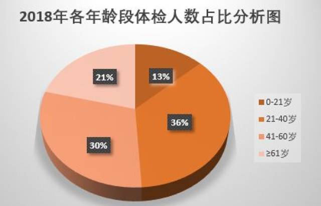 全面个人健体检总结报告——身心状况综合分析