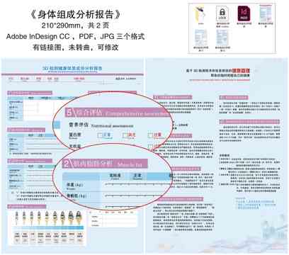 个人身体报告解读ai