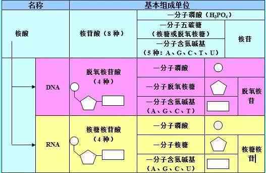 仲裁程序中指定鉴定部门的权力归属与操作解析