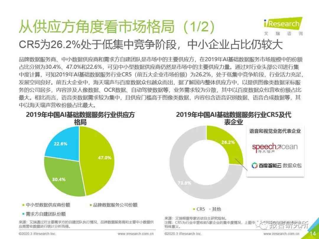 ai专业研究报告