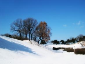 ai创作雪景