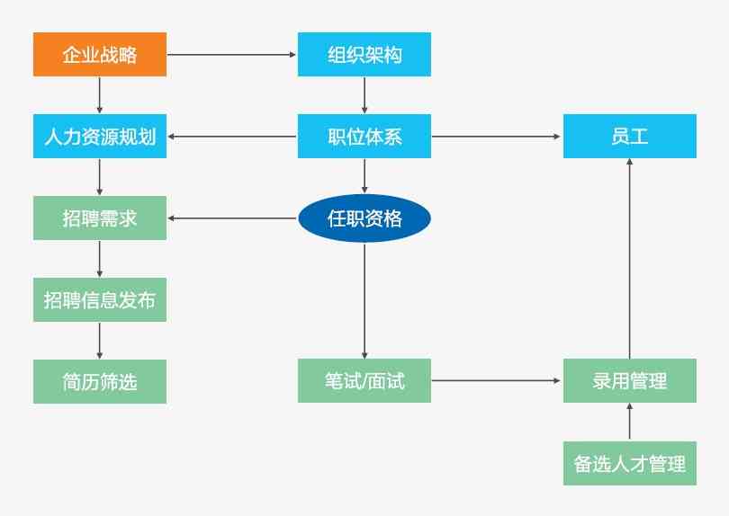 企业招聘标准指南：全面解析任职资格与选拔流程