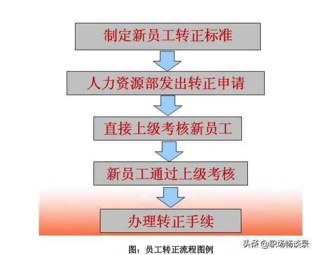 企业招聘标准指南：全面解析任职资格与选拔流程