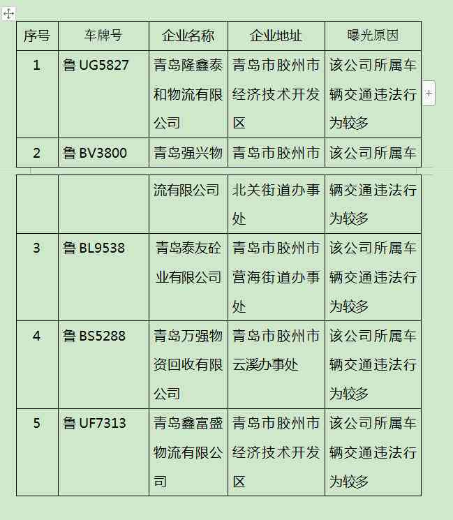 企业员工驾驶职责与行为规范指导纲要