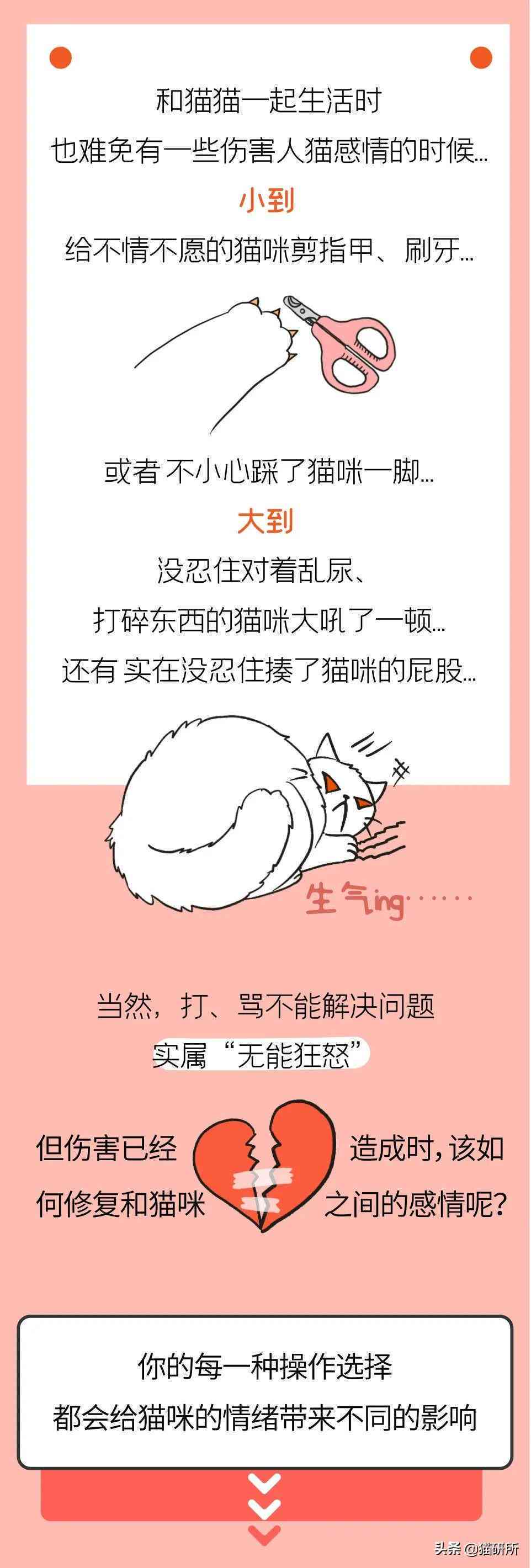 全方位攻略：机器猫脚本及使用方法详解