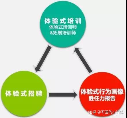 全方位解析：校园爱情广告策略与成功案例指南