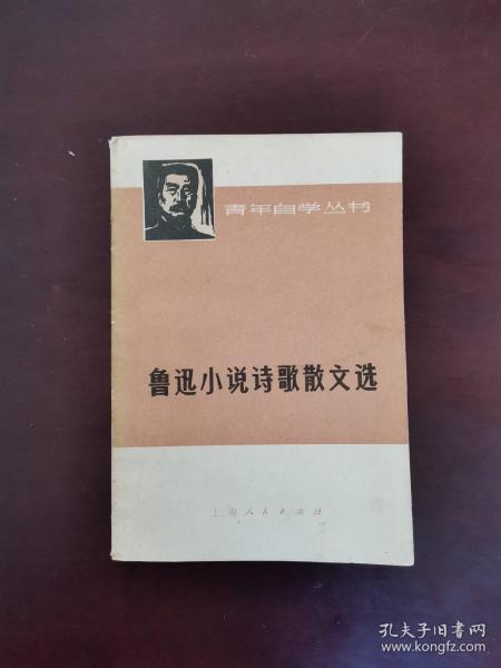 '运用AI技术仿写名人传记解说文案新策略与实践'