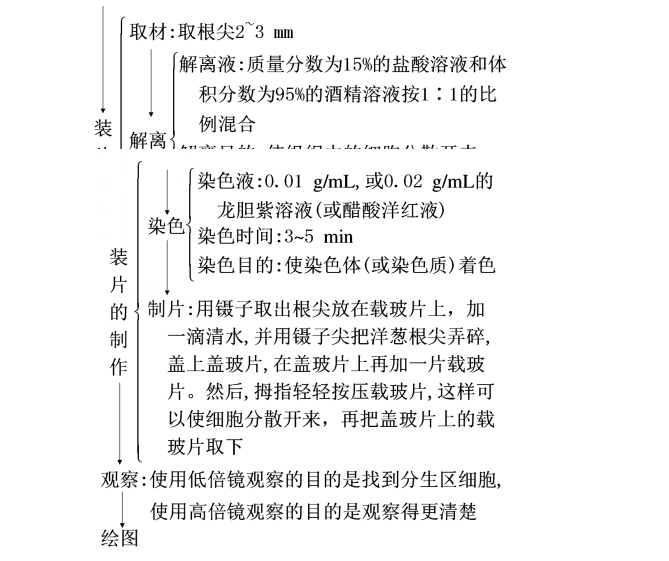 ai的实验结论：实验目的、内容与步骤、结果及总结