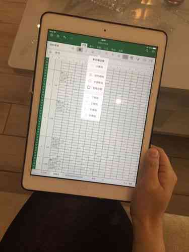 iPad怎么做报表：涵iPad Pro及各类平板电脑表格制作指南