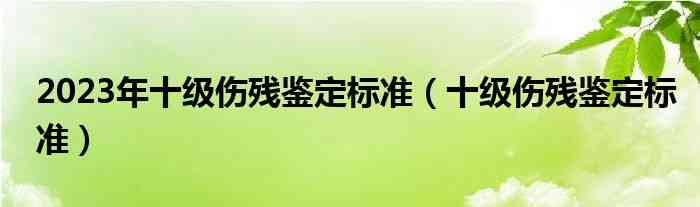 2023版工伤十级伤残认证细则及评定标准解析